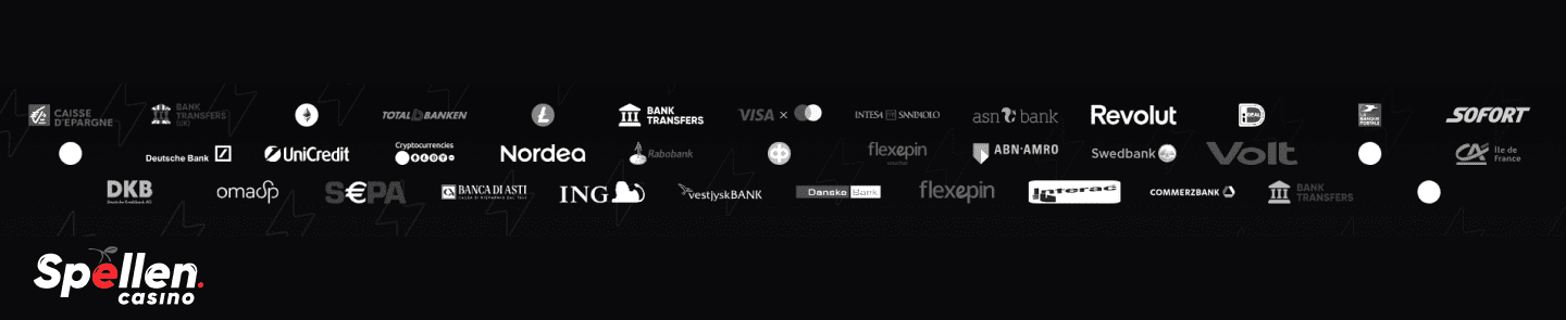 FlashDash Betaalmethoden