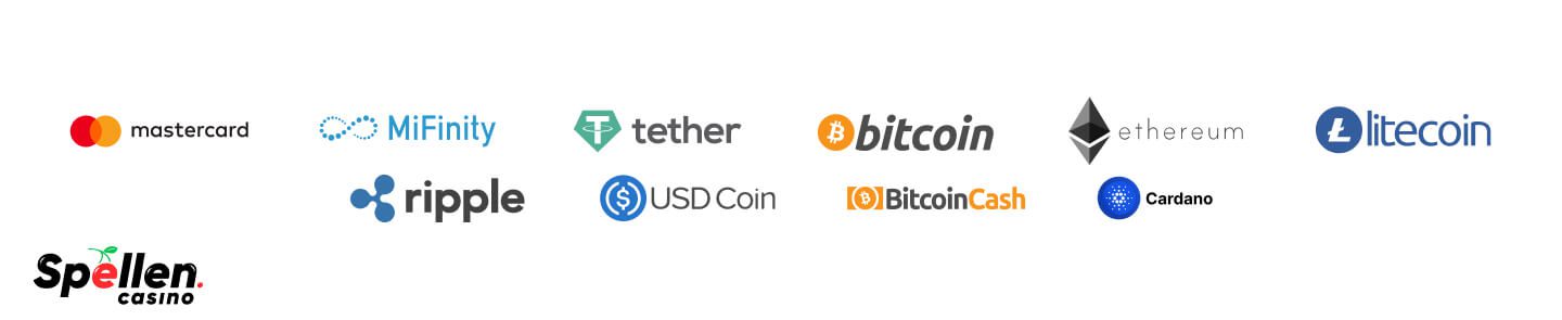 Lizaro Betaalmethoden