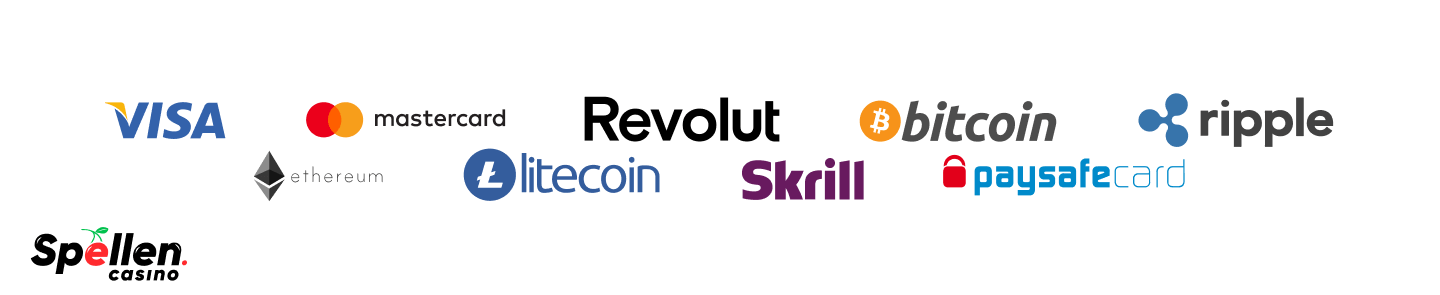 Duckysino Betaalmethoden